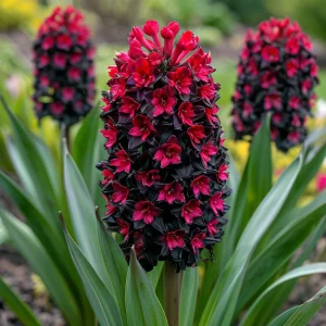 Гиацинт Джем Стоун купить по цене от 2099р. в интернет-магазине «Посадика» с доставкой почтой в в Янауле и по всей России – [изображение №1].