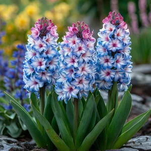 Гиацинт Пинк Мари купить по цене от 2099р. в интернет-магазине «Посадика» с доставкой почтой в в Янауле и по всей России – [изображение №1].