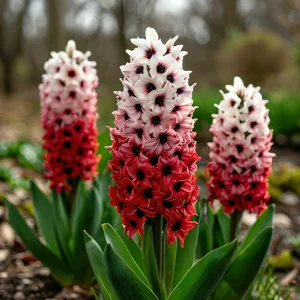 Гиацинт Скай Гарден купить по цене от 2099р. в интернет-магазине «Посадика» с доставкой почтой в в Янауле и по всей России – [изображение №1].